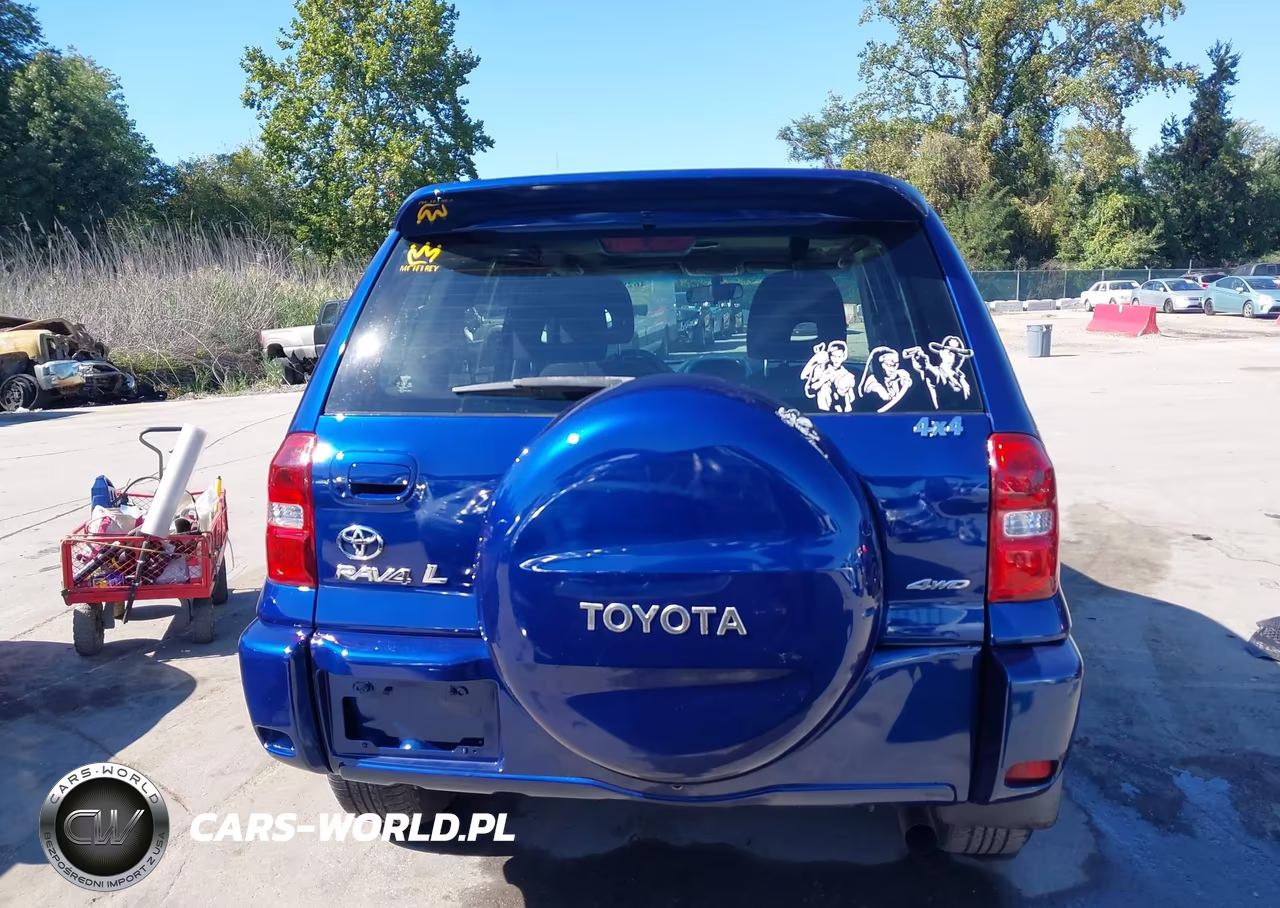 2004 Toyota Rav4 VIN:JTEHD20V246015676 - 17