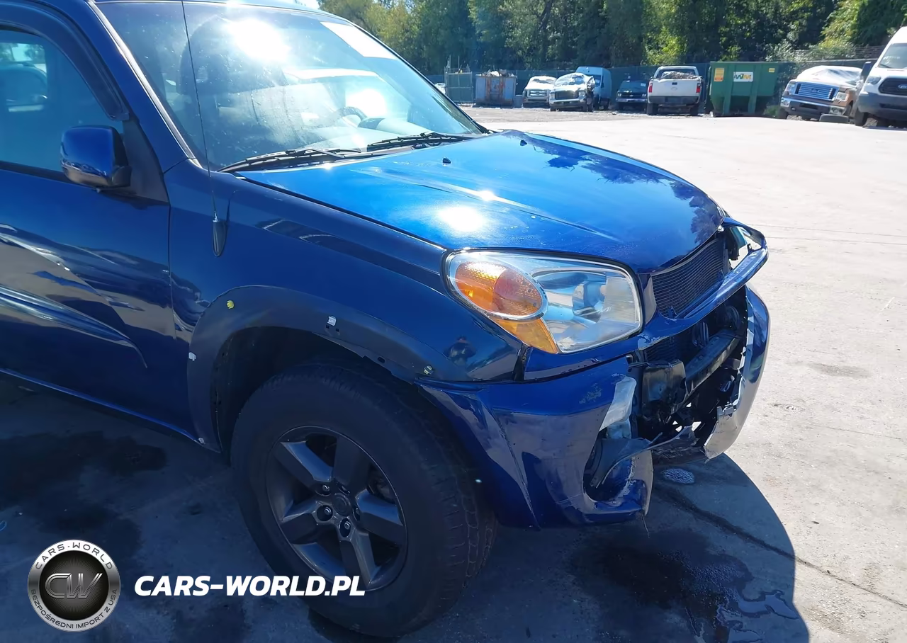 2004 Toyota Rav4 VIN:JTEHD20V246015676 - 19