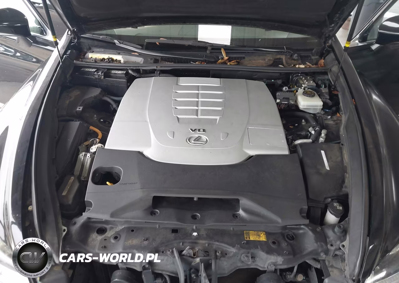 2015 Lexus Ls 460 VIN:JTHBL5EF3F5137003 - 10