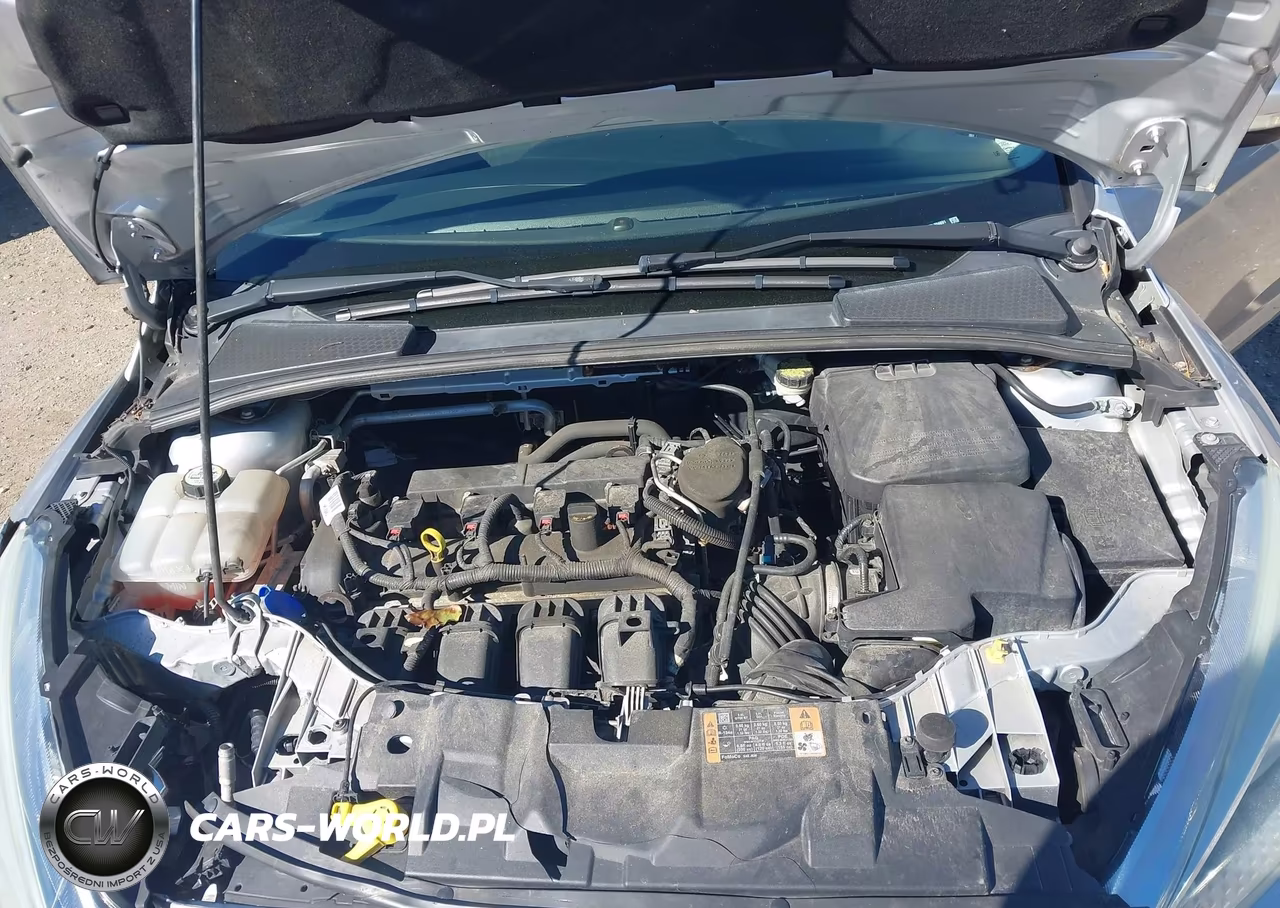 2015 Ford Focus Se VIN:1FADP3F22FL204691 - 10