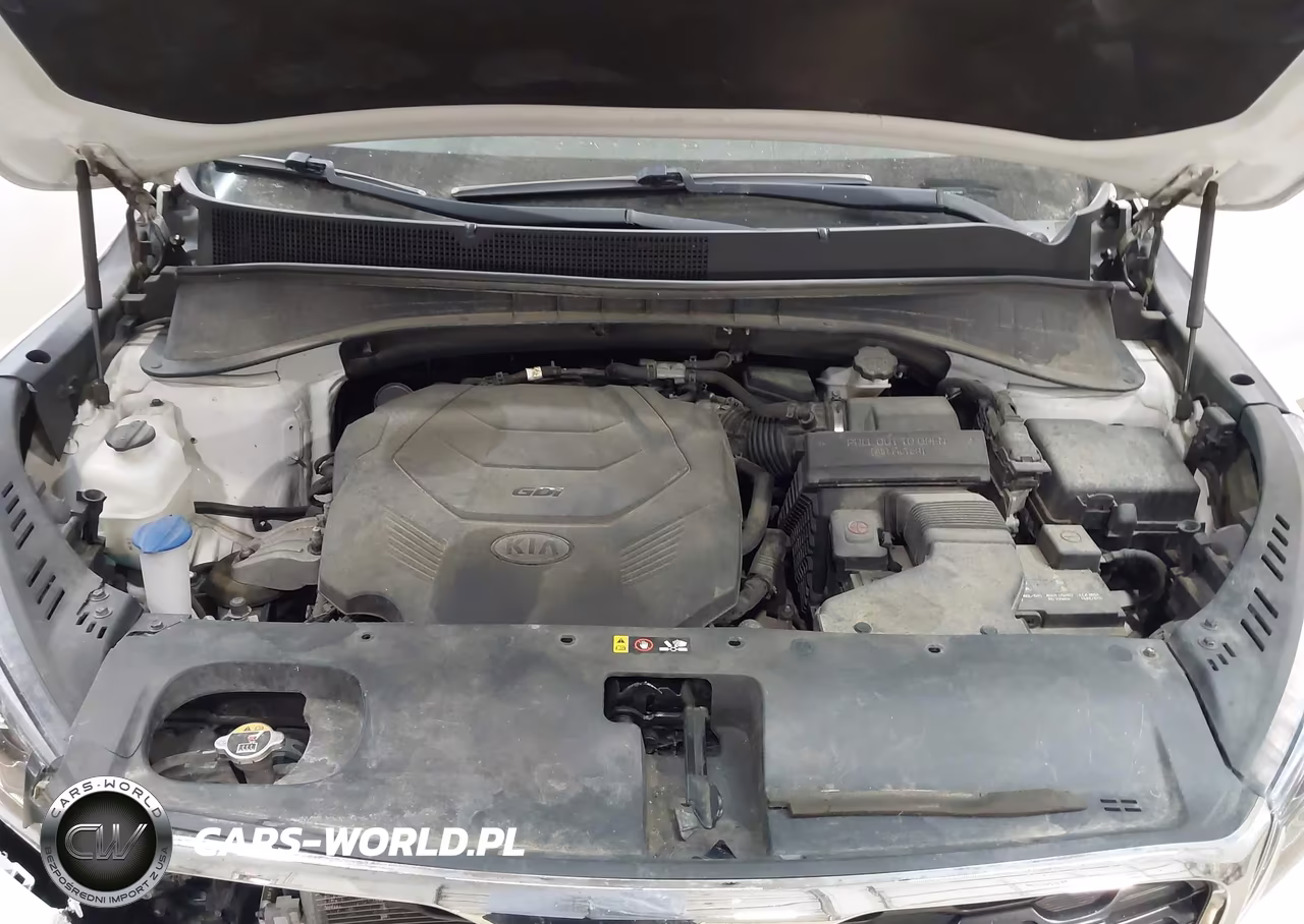 2019 Kia Sorento 3.3L Lx VIN:5XYPGDA56KG441284 - 10