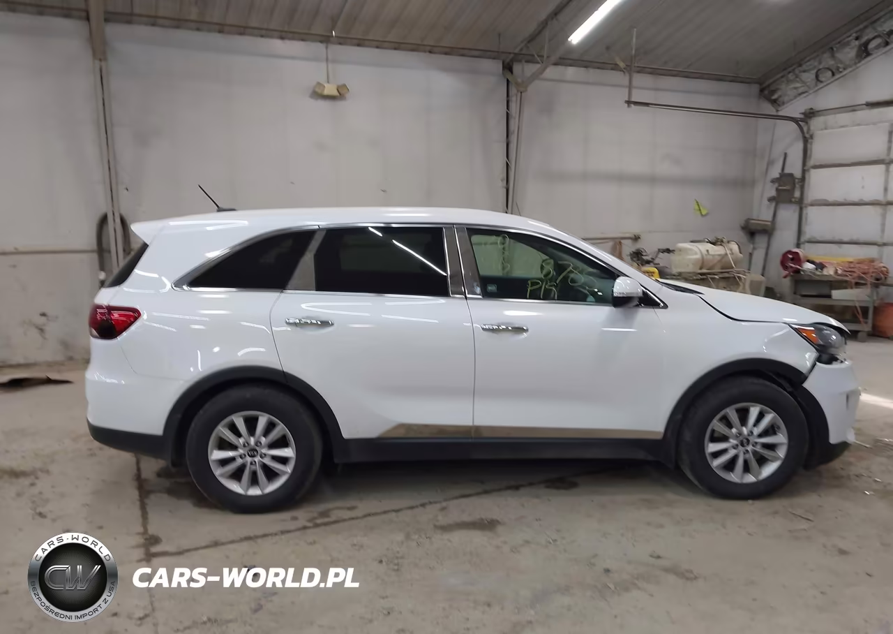 2019 Kia Sorento 3.3L Lx VIN:5XYPGDA56KG441284 - 13