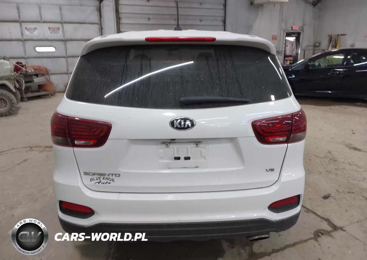 2019 Kia Sorento 3.3L Lx VIN:5XYPGDA56KG441284 - 16