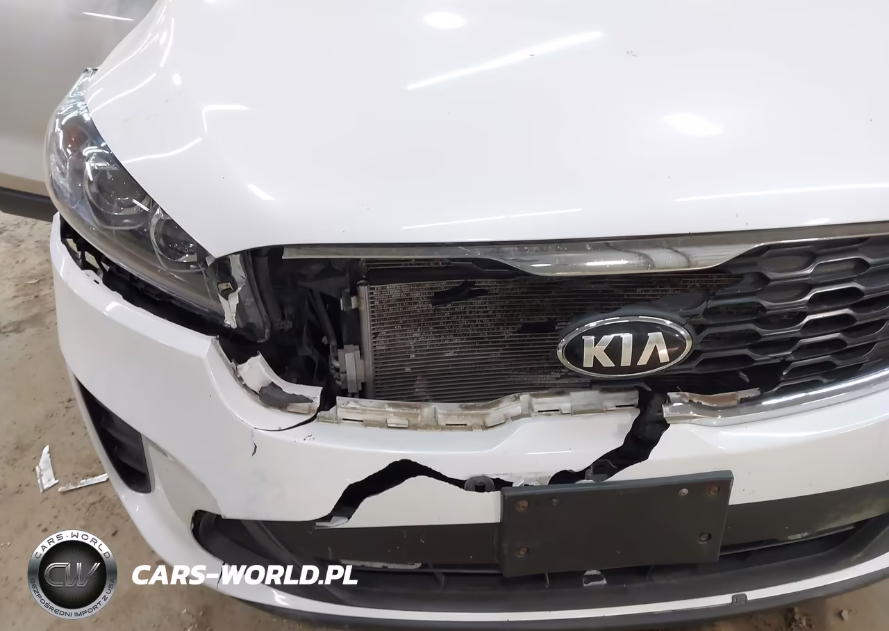 2019 Kia Sorento 3.3L Lx VIN:5XYPGDA56KG441284 - 6