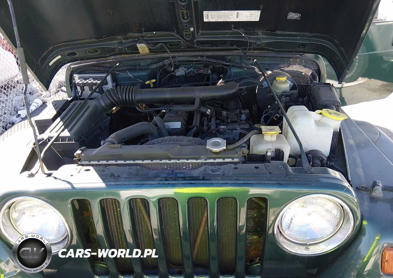 1999 Jeep Wrangler Sahara VIN:1J4FY49S7XP475218 - 10