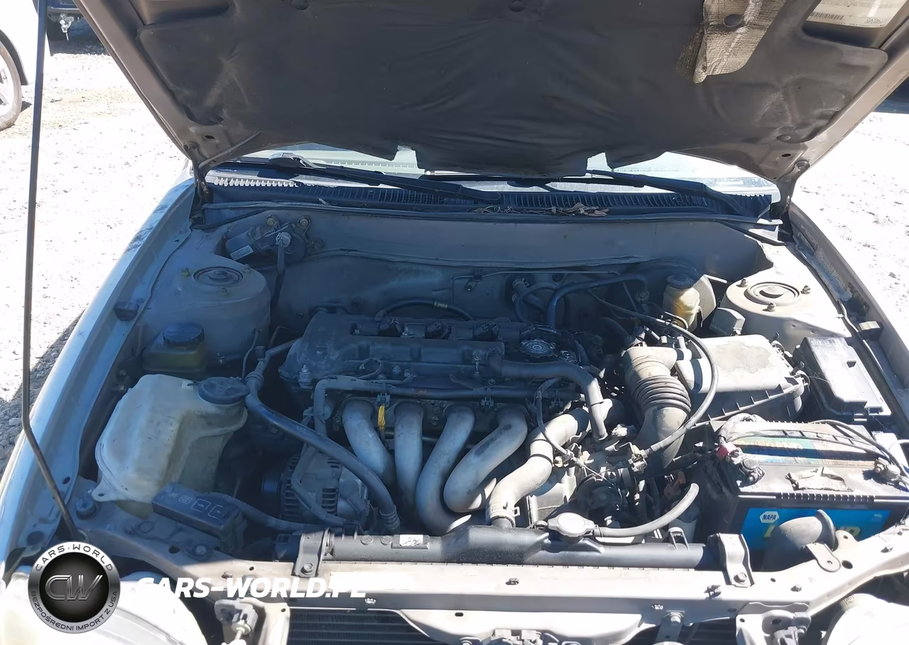 2000 Toyota Corolla Ce VIN:1NXBR12E9YZ391193 - 10