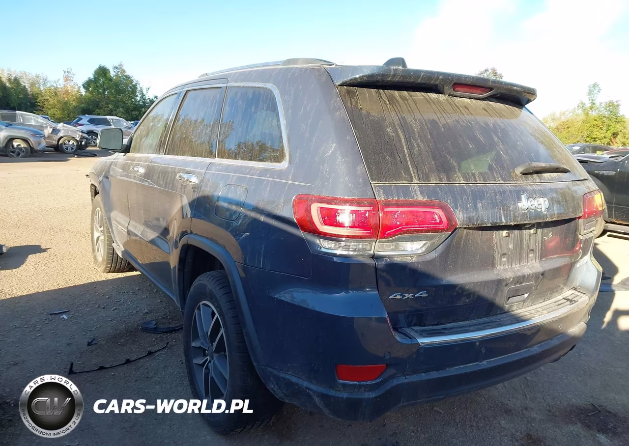 2020 Jeep Grand Cherokee Limited 4X4 VIN:1C4RJFBG4LC315999 - 3