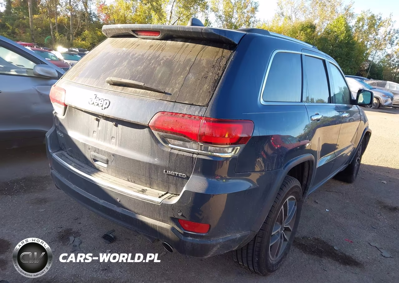 2020 Jeep Grand Cherokee Limited 4X4 VIN:1C4RJFBG4LC315999 - 4