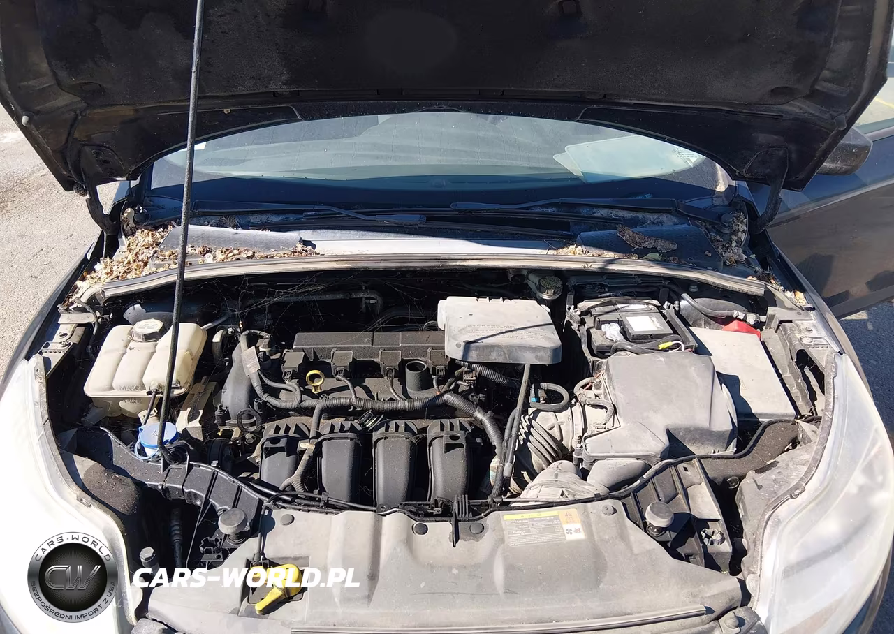 2012 Ford Focus Se VIN:1FAHP3F24CL424671 - 10