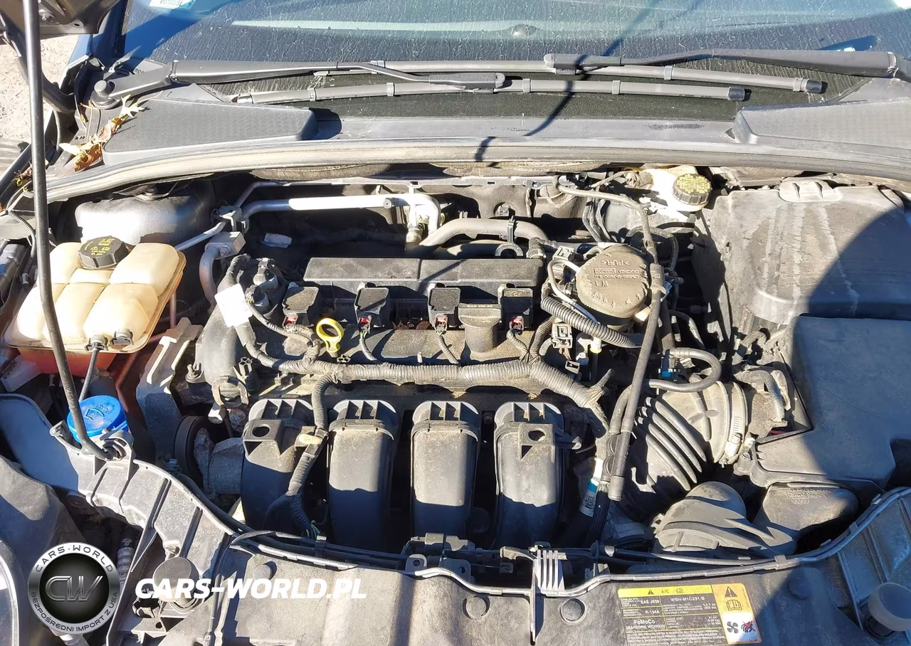 2014 Ford Focus Titanium VIN:1FADP3N20EL102225 - 10