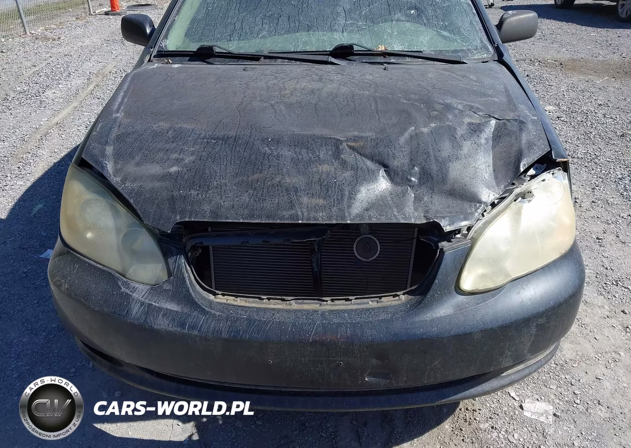 2005 Toyota Corolla Ce VIN:1NXBR32E65Z505013 - 6