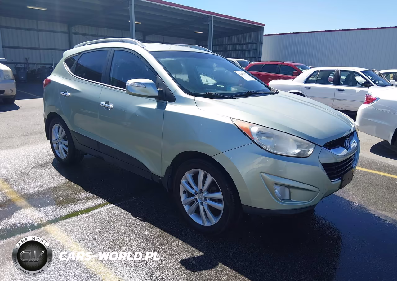 2010 Hyundai Tucson Limited VIN:KM8JU3AC9AU060495 - 1
