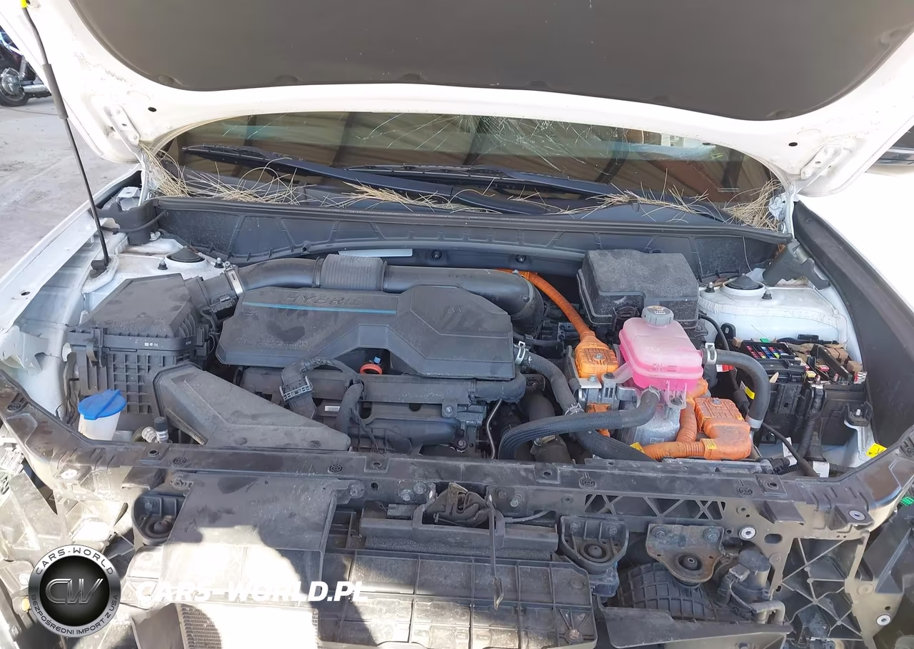 2024 Hyundai Tucson Hybrid N Line VIN:KM8JFCD18RU145313 - 10