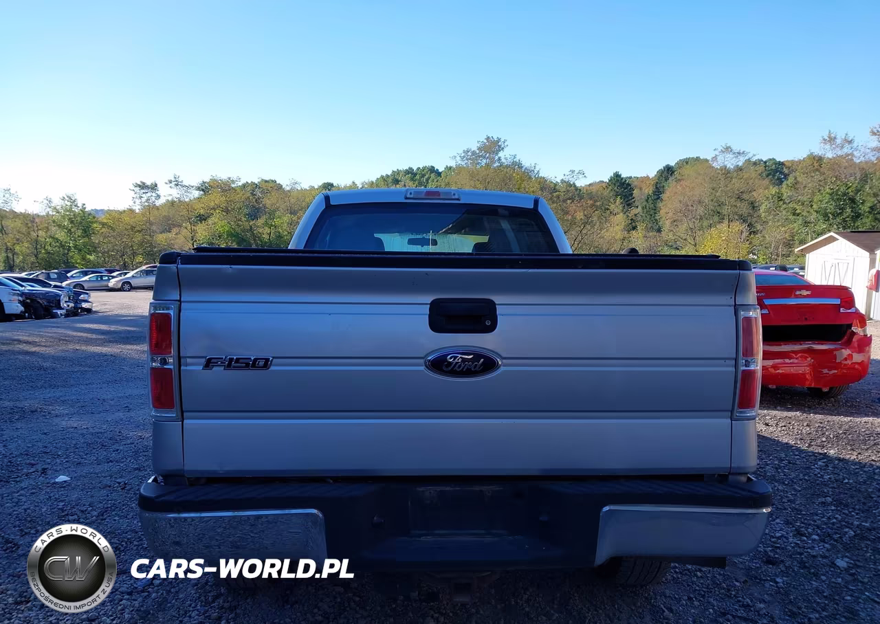 2010 Ford F-150 Stx-Xl VIN:1FTEX1EW5AFB37907 - 16