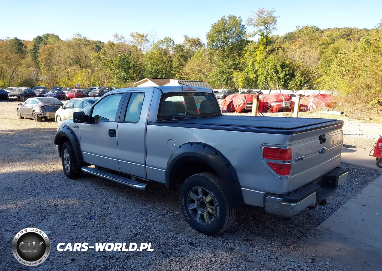 2010 Ford F-150 Stx-Xl VIN:1FTEX1EW5AFB37907 - 3