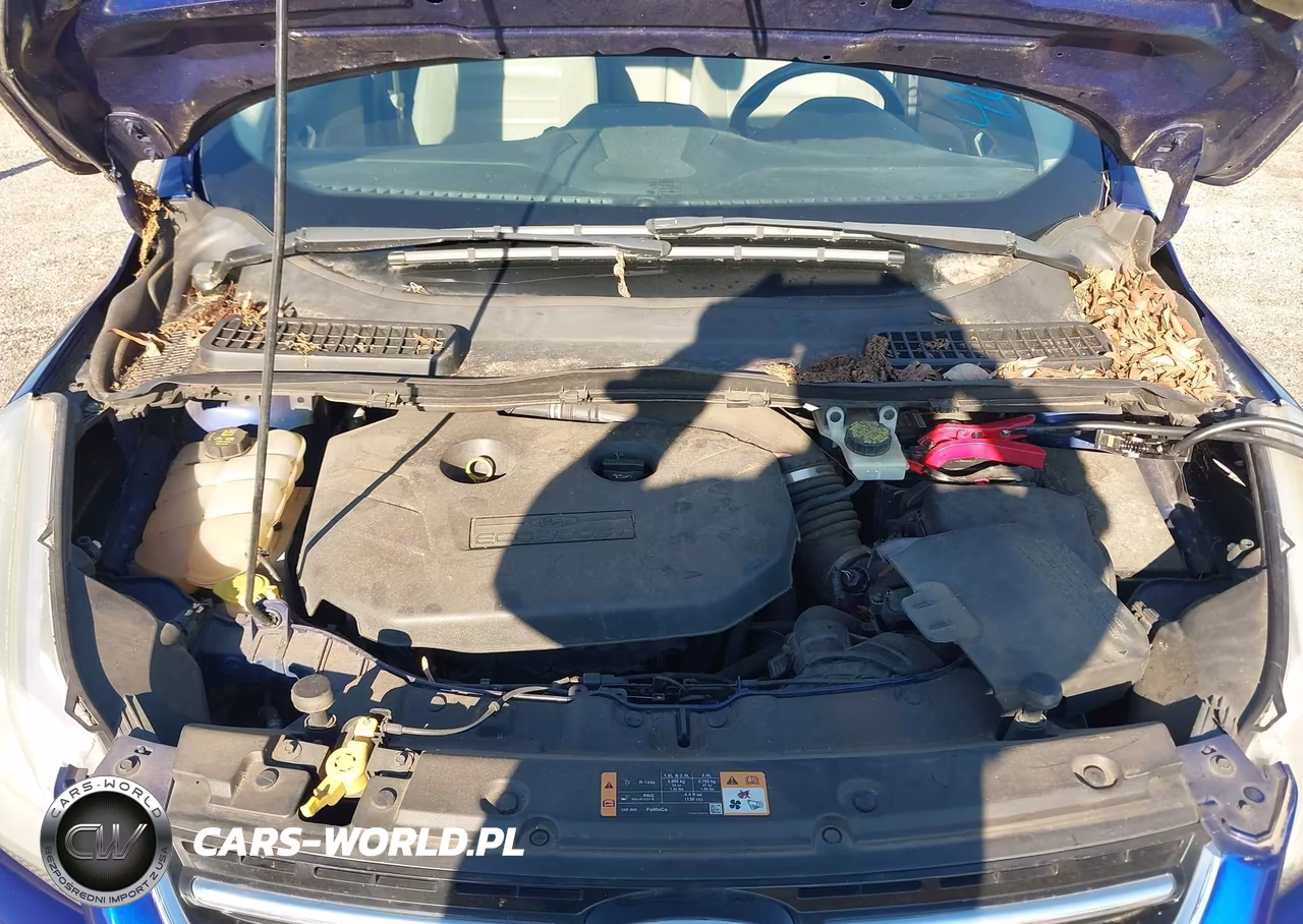 2014 Ford Escape Titanium VIN:1FMCU0J96EUA54607 - 10