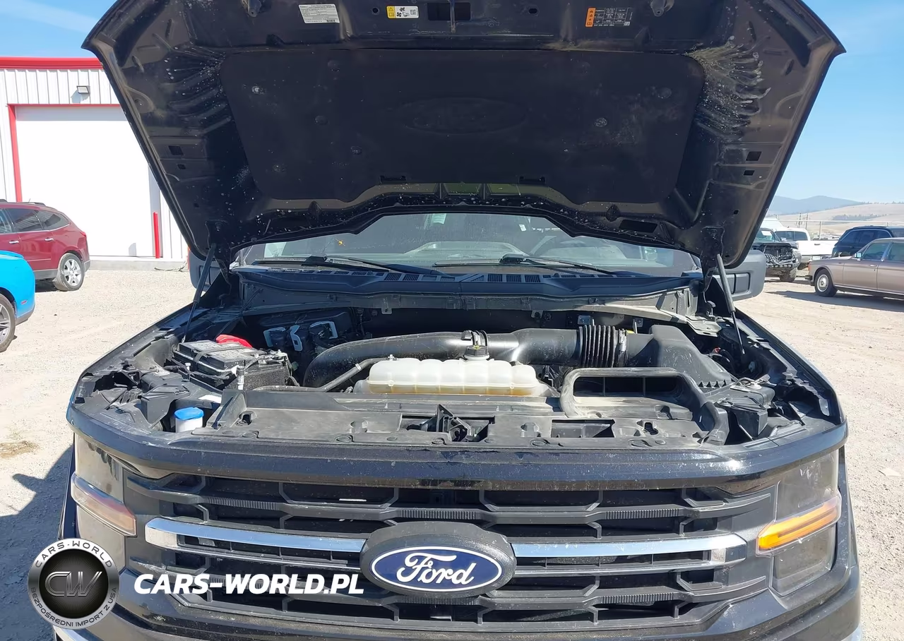 2025 Ford F-150 Xlt VIN:1FTFW3L84SKD69964 - 10
