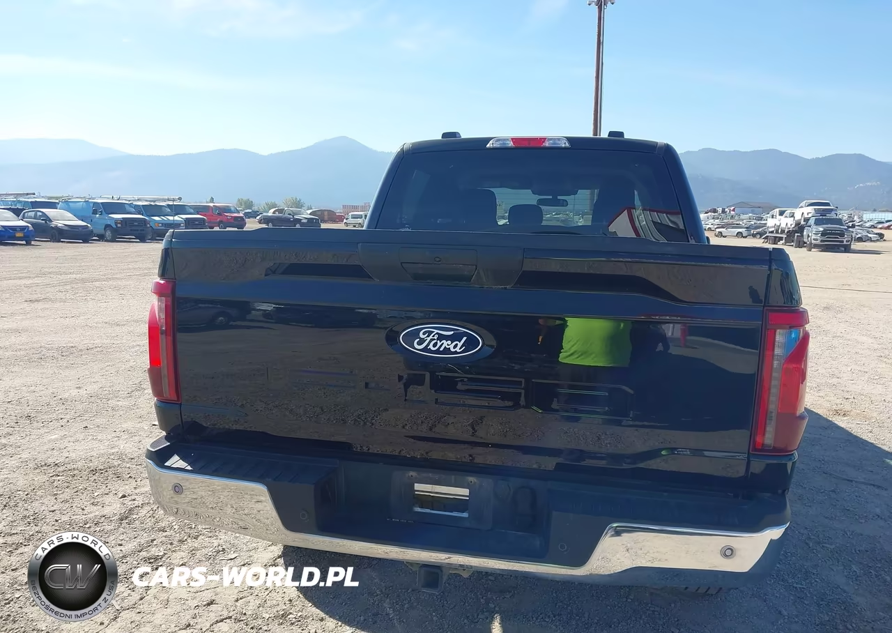 2025 Ford F-150 Xlt VIN:1FTFW3L84SKD69964 - 16