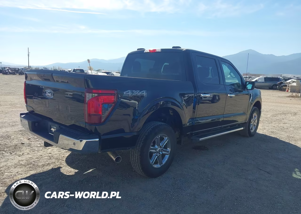 2025 Ford F-150 Xlt VIN:1FTFW3L84SKD69964 - 4