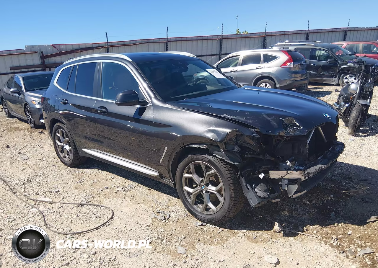 2023 BMW X3 xDrive30I VIN:5UX53DP03P9R73548 - 1