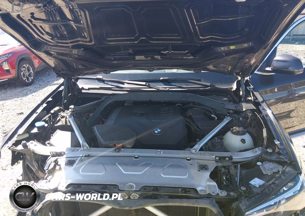 2023 BMW X3 xDrive30I VIN:5UX53DP03P9R73548 - 10