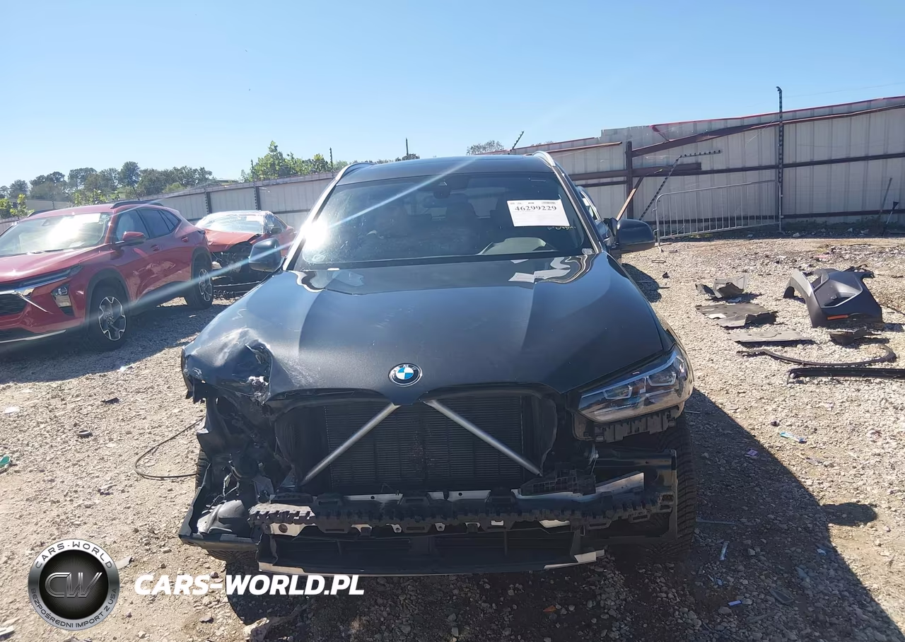 2023 BMW X3 xDrive30I VIN:5UX53DP03P9R73548 - 13