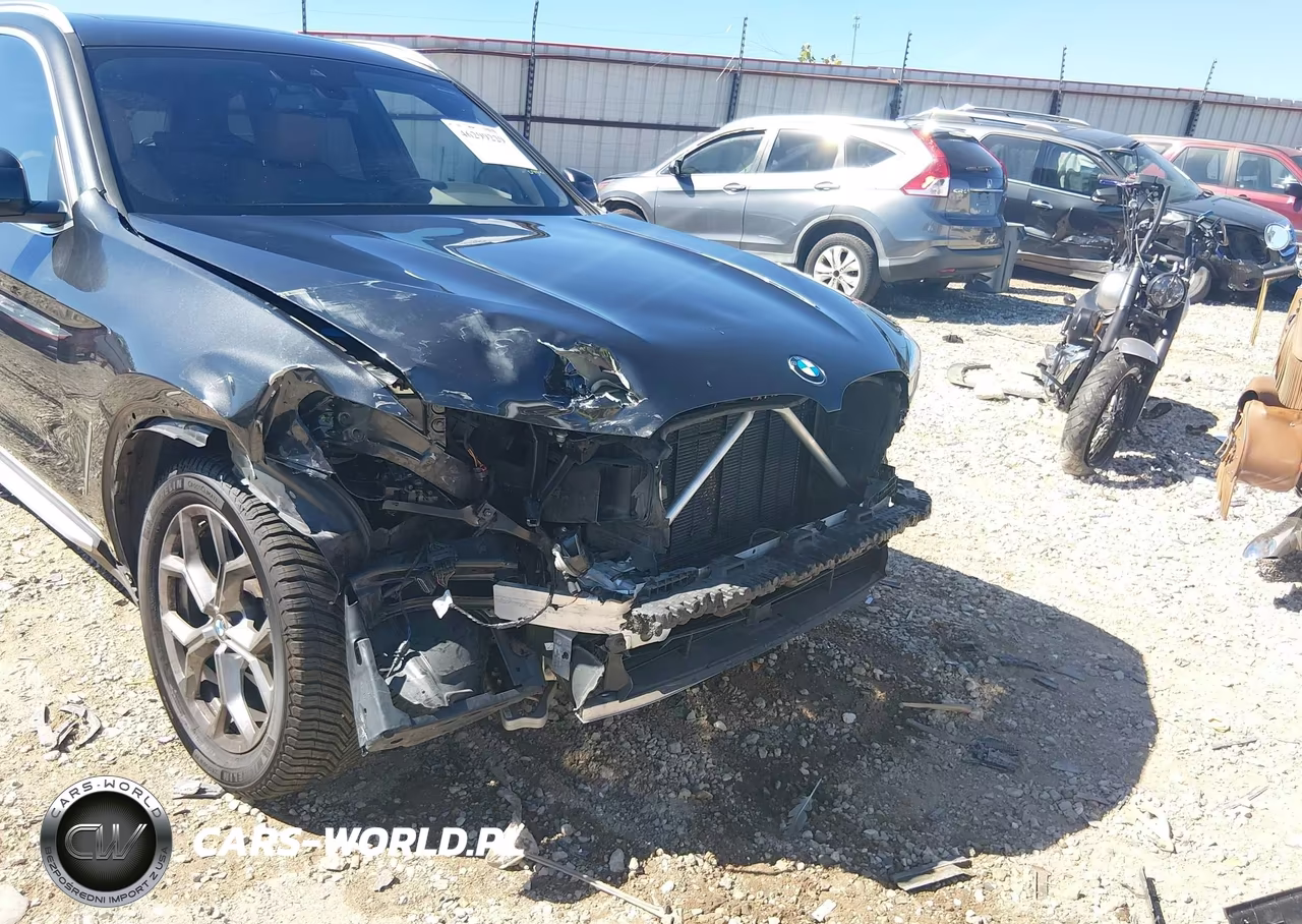 2023 BMW X3 xDrive30I VIN:5UX53DP03P9R73548 - 6