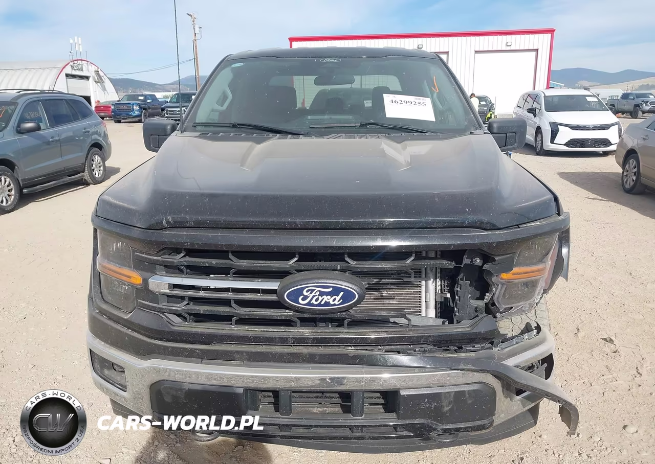 2025 Ford F-150 Xlt VIN:1FTEW3LP6SKE16625 - 11