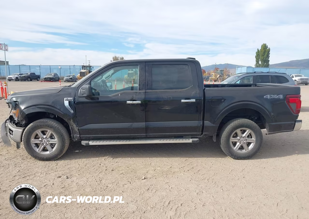 2025 Ford F-150 Xlt VIN:1FTEW3LP6SKE16625 - 13
