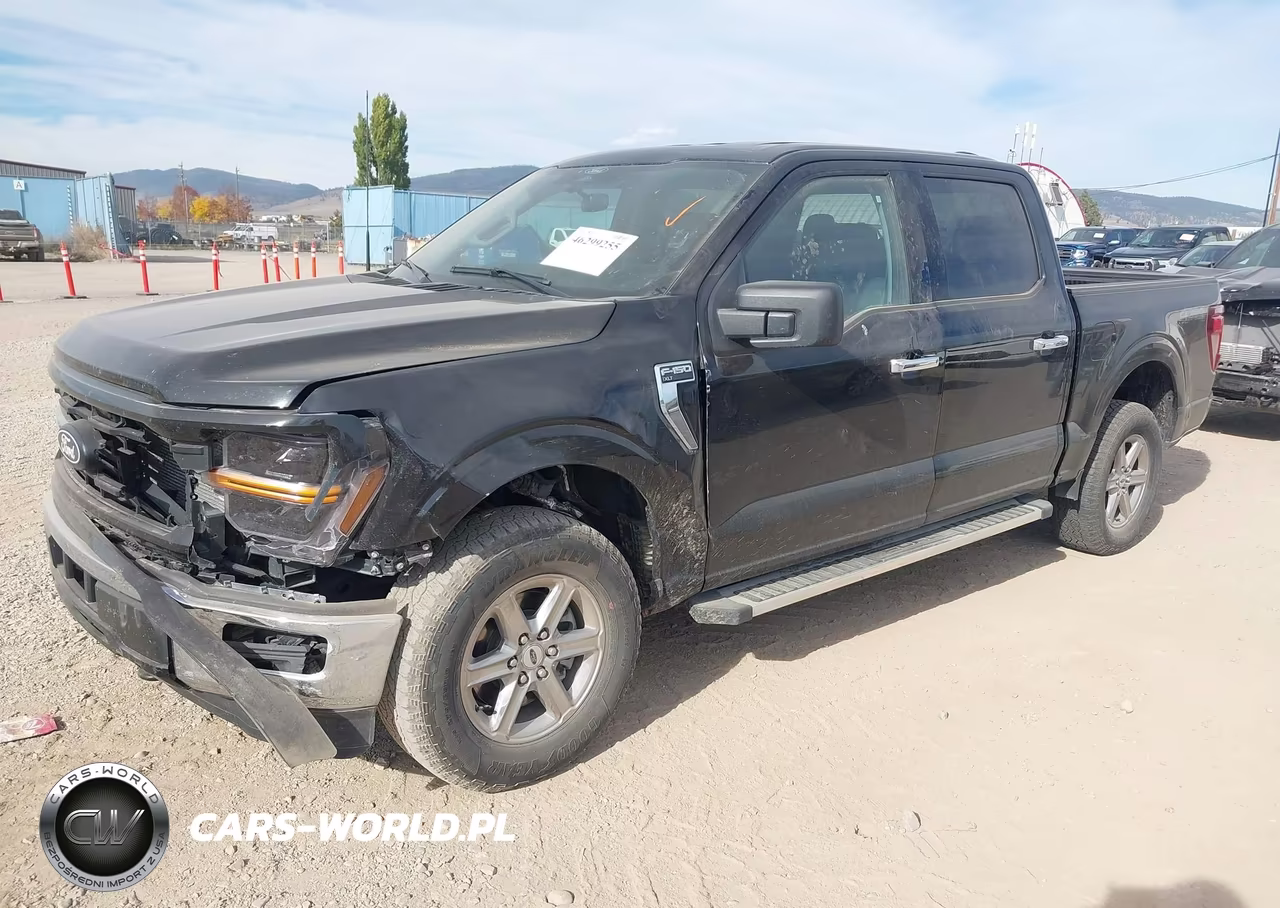 2025 Ford F-150 Xlt VIN:1FTEW3LP6SKE16625 - 2