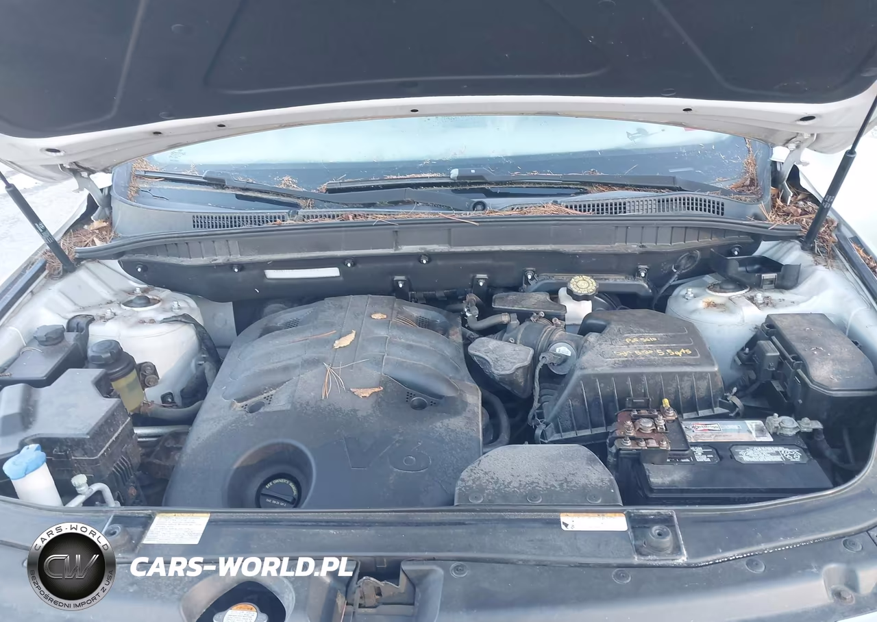 2009 Hyundai Veracruz Gls VIN:KM8NU73CX9U080224 - 10