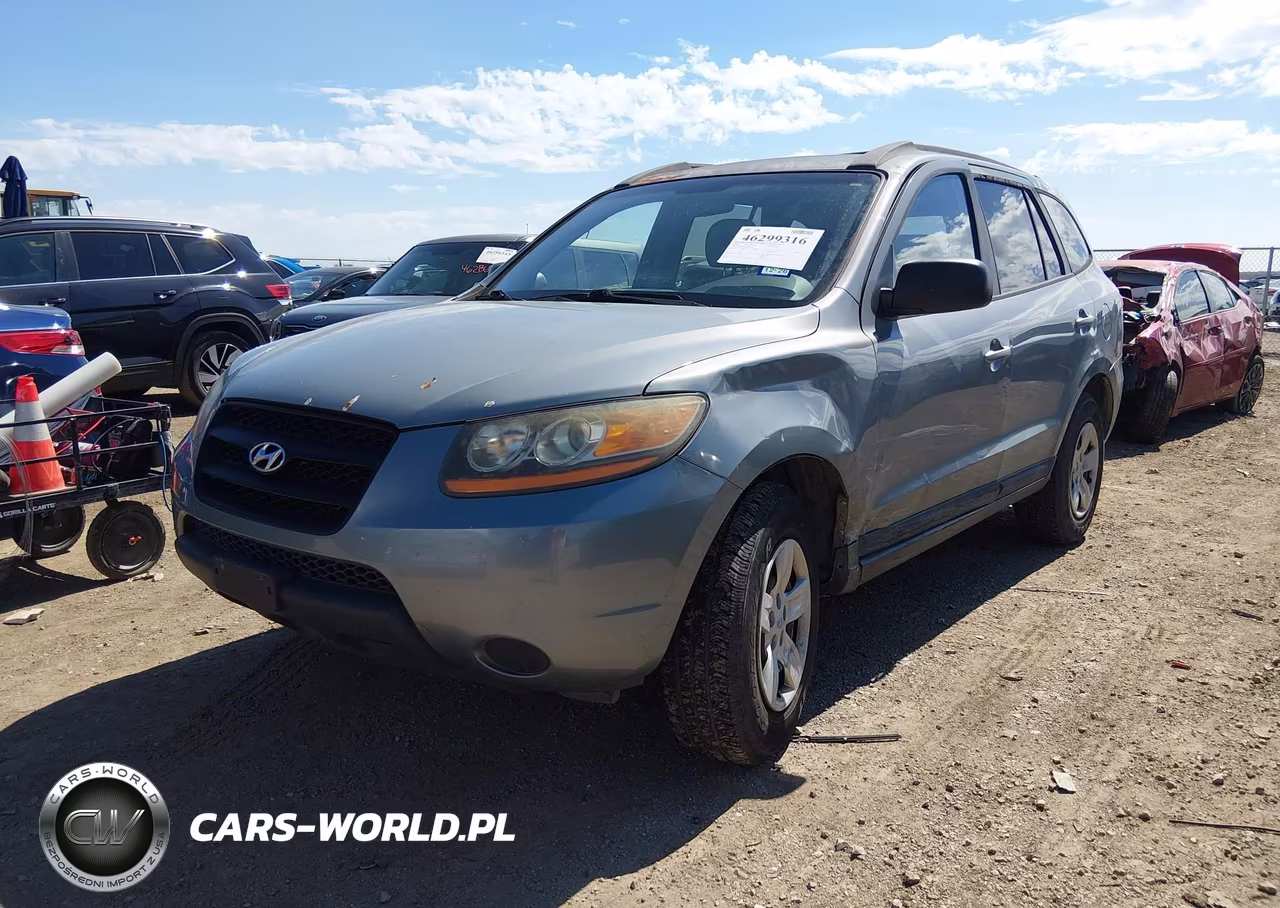 2009 Hyundai Santa Fe Gls VIN:5NMSG13D09H294019 - 2