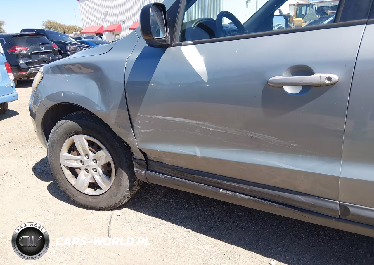 2009 Hyundai Santa Fe Gls VIN:5NMSG13D09H294019 - 6