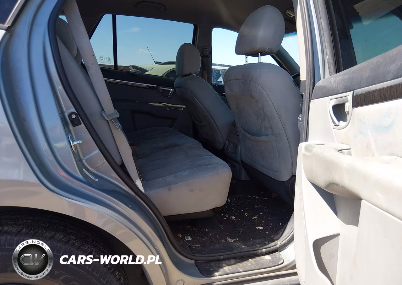 2009 Hyundai Santa Fe Gls VIN:5NMSG13D09H294019 - 8