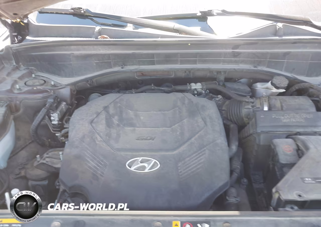 2020 Hyundai Palisade Limited VIN:KM8R54HEXLU045309 - 10
