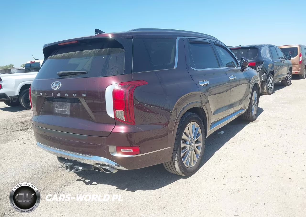 2020 Hyundai Palisade Limited VIN:KM8R54HEXLU045309 - 4