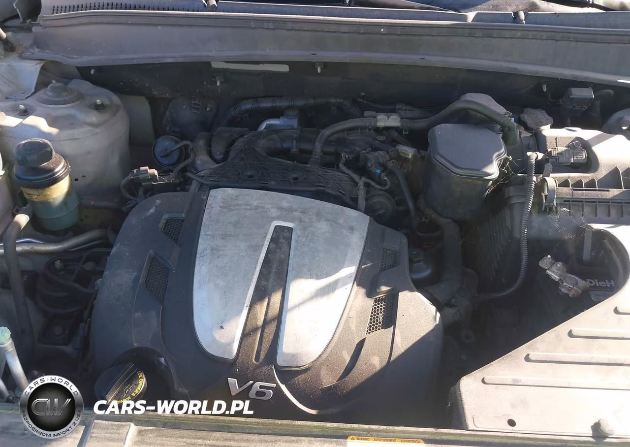 2010 Hyundai Santa Fe Se VIN:5NMSHDAGXAH356462 - 10