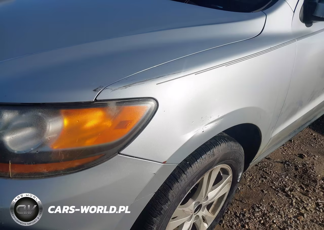 2010 Hyundai Santa Fe Se VIN:5NMSHDAGXAH356462 - 12
