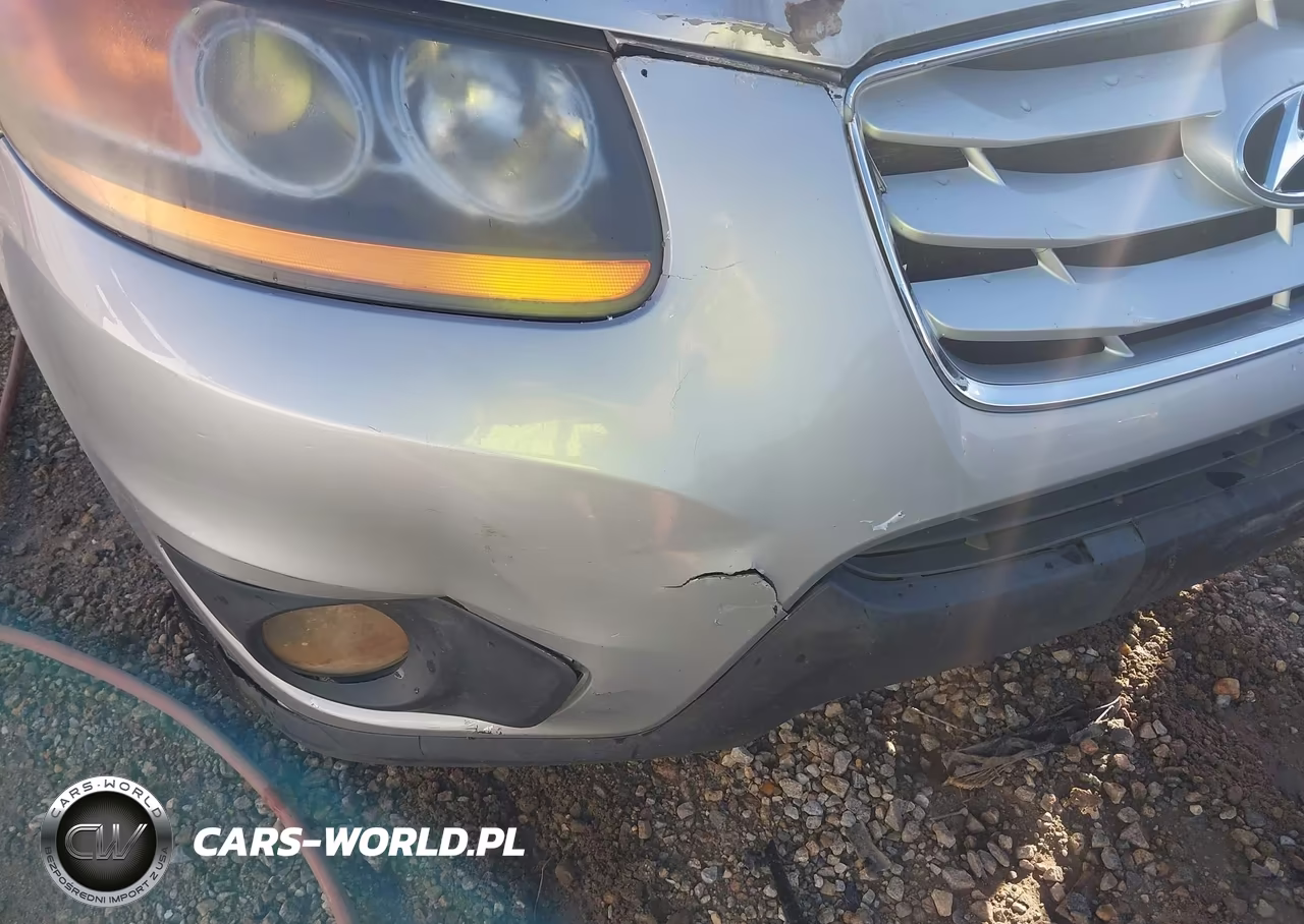 2010 Hyundai Santa Fe Se VIN:5NMSHDAGXAH356462 - 13