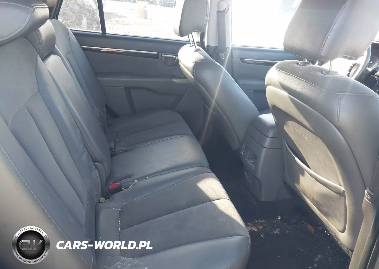 2010 Hyundai Santa Fe Se VIN:5NMSHDAGXAH356462 - 8