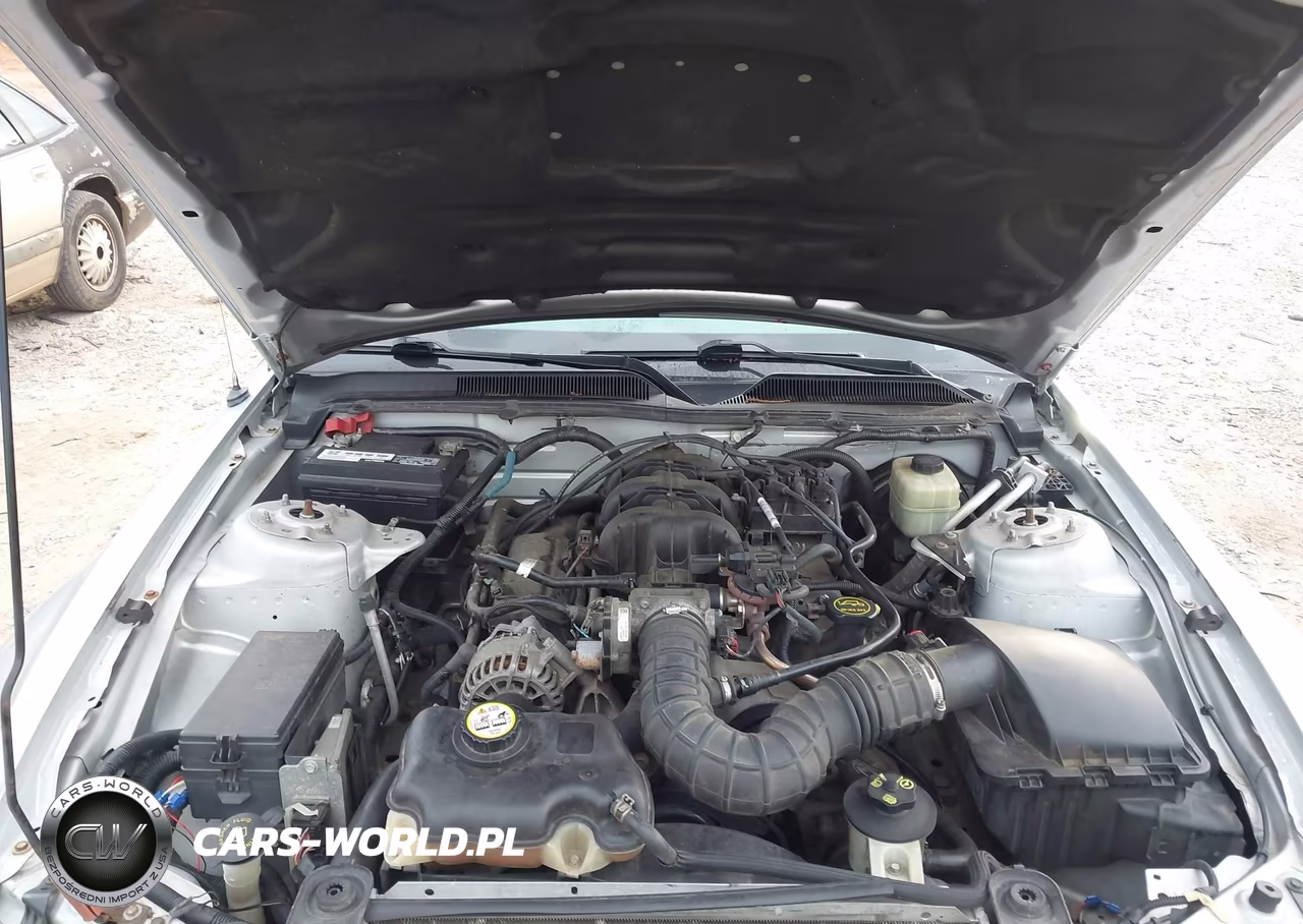 2006 Ford Mustang V6 VIN:1ZVFT84N865143227 - 10