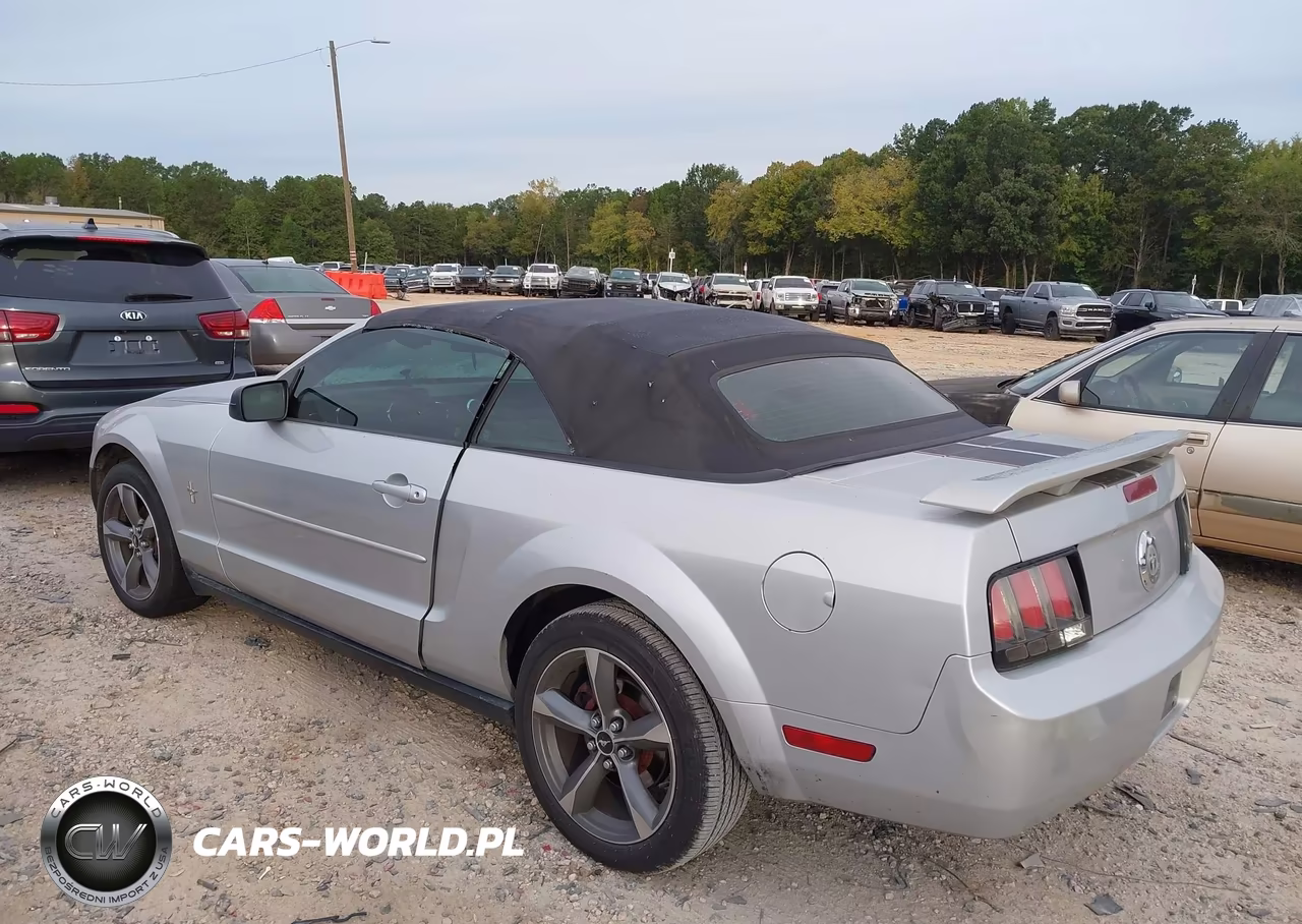 2006 Ford Mustang V6 VIN:1ZVFT84N865143227 - 3