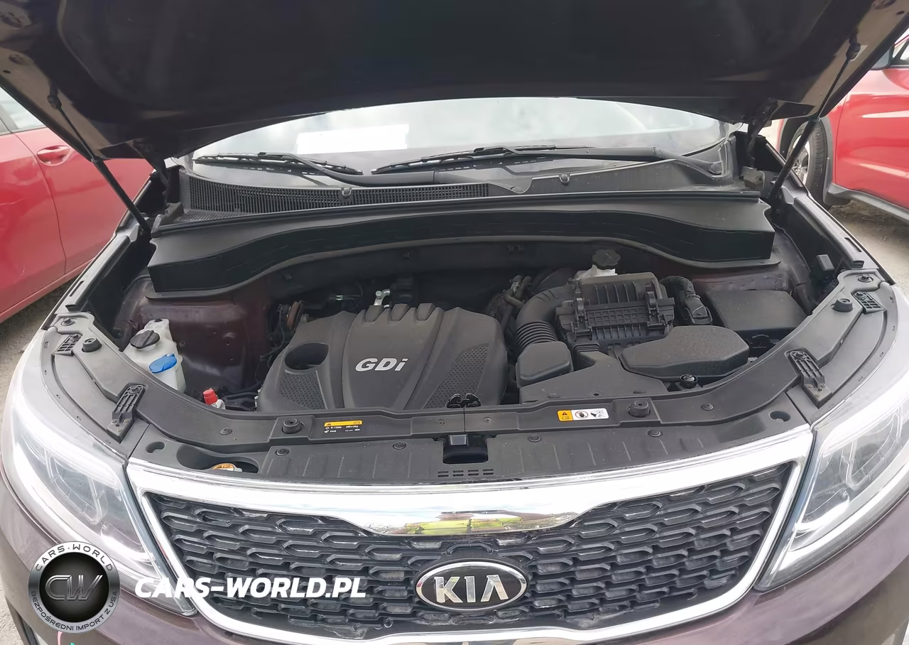 2014 Kia Sorento Lx VIN:5XYKT4A63EG528031 - 10