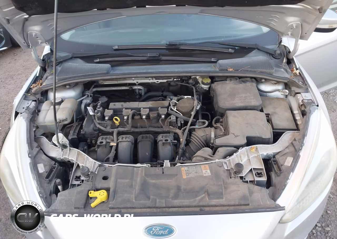 2015 Ford Focus Se VIN:1FADP3F22FL343333 - 10