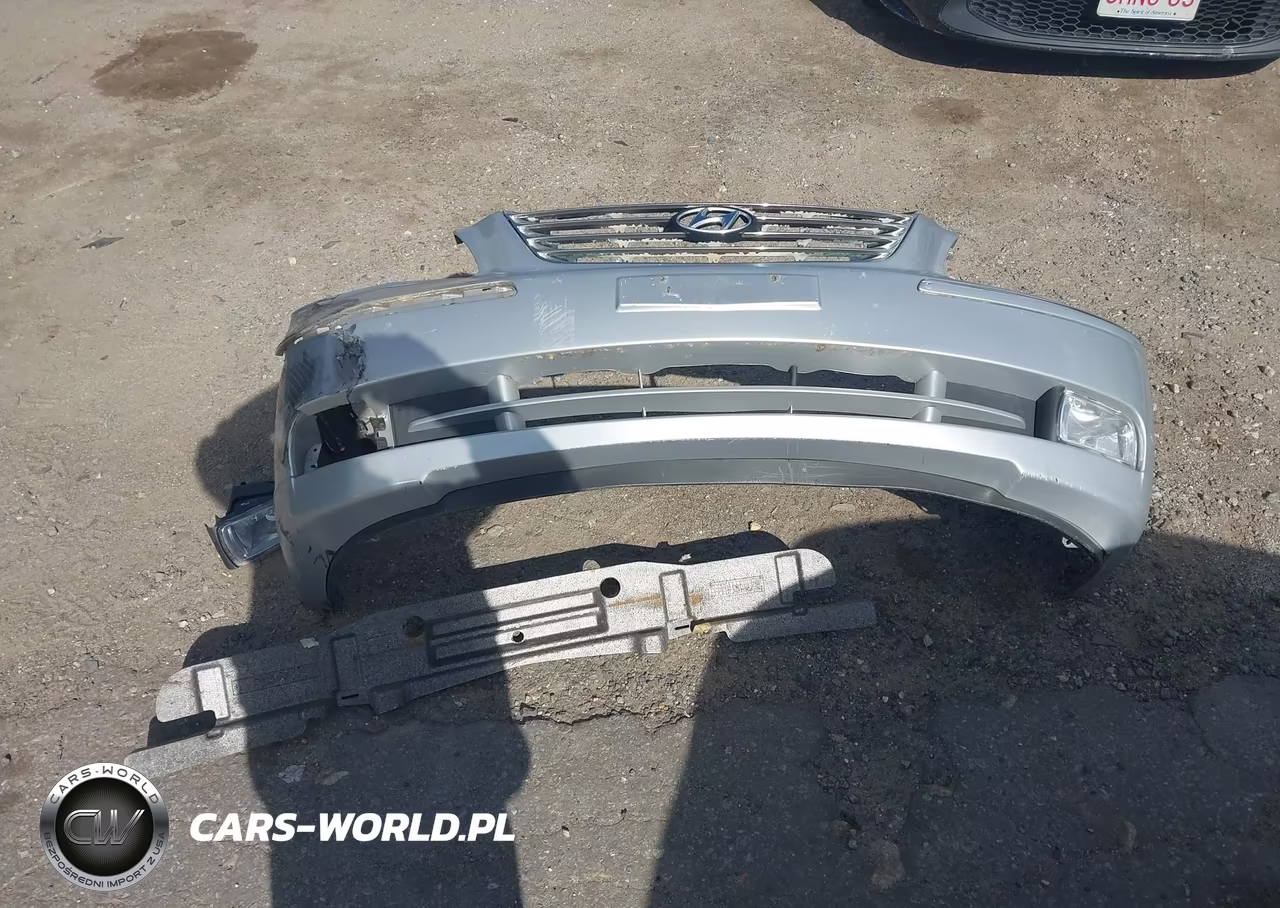 2009 Hyundai Azera Limited VIN:KMHFC46F69A380288 - 12