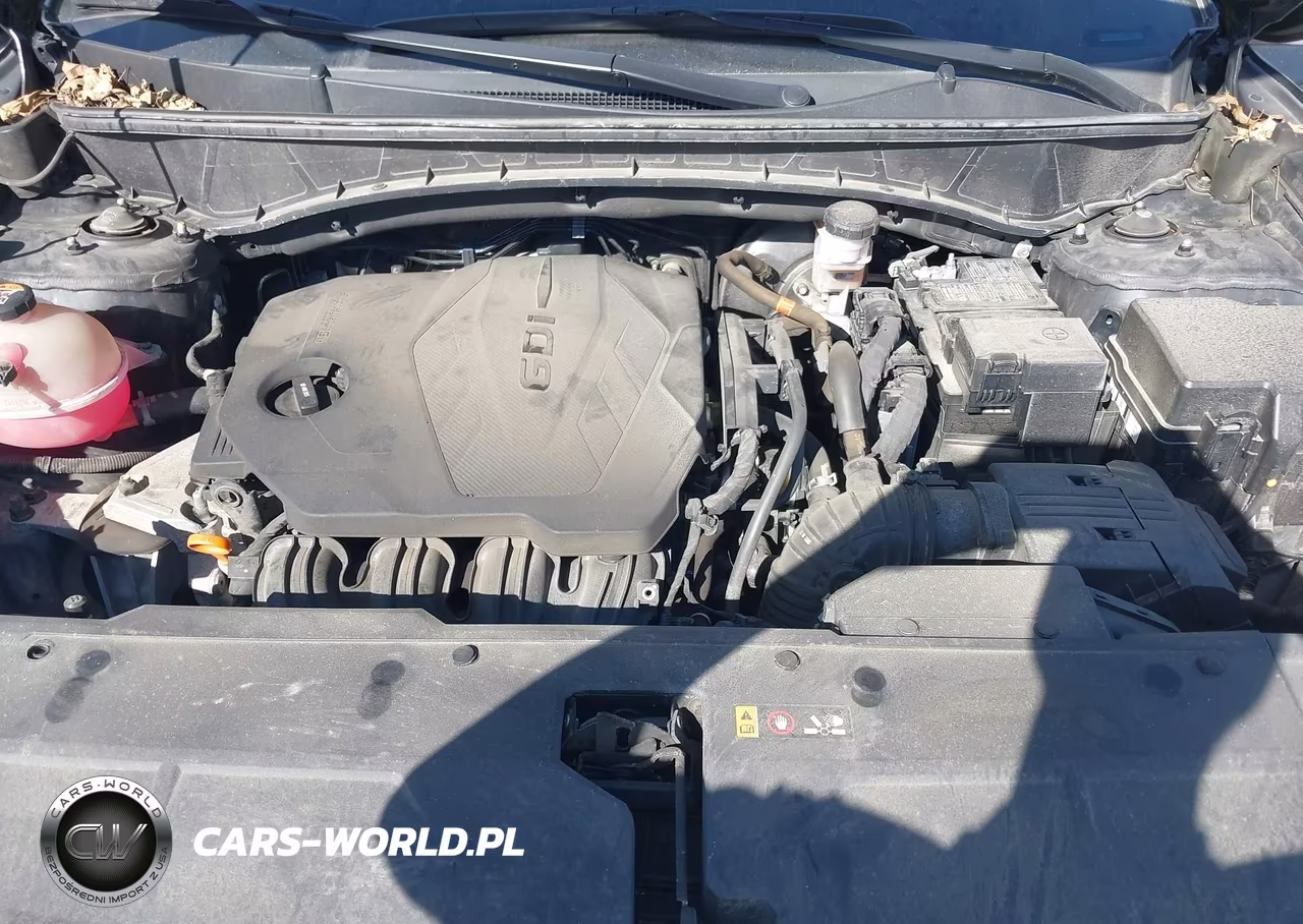 2023 Hyundai Tucson Sel VIN:5NMJBCAE4PH234131 - 10