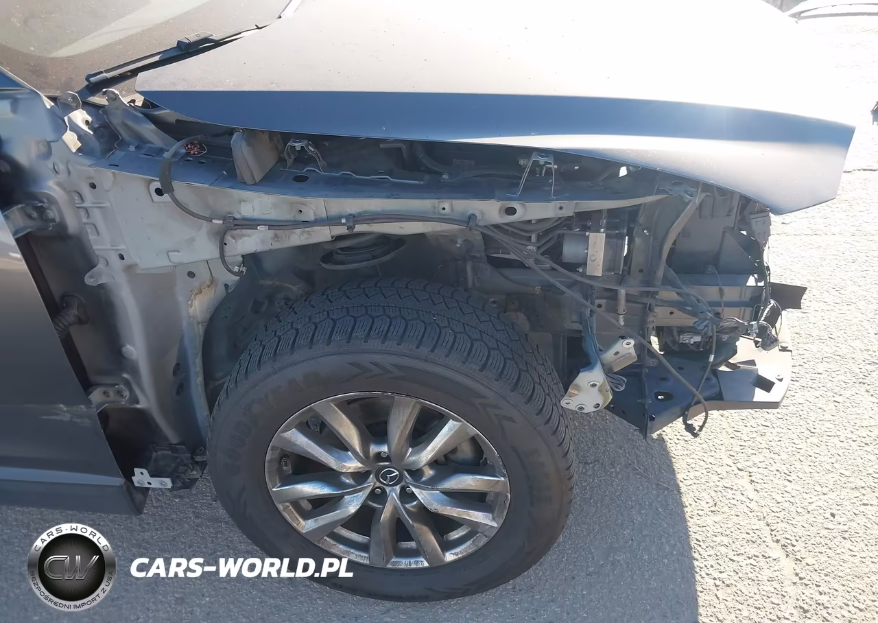 2018 Mazda Cx-9 Touring VIN:JM3TCBCY7J0202456 - 18