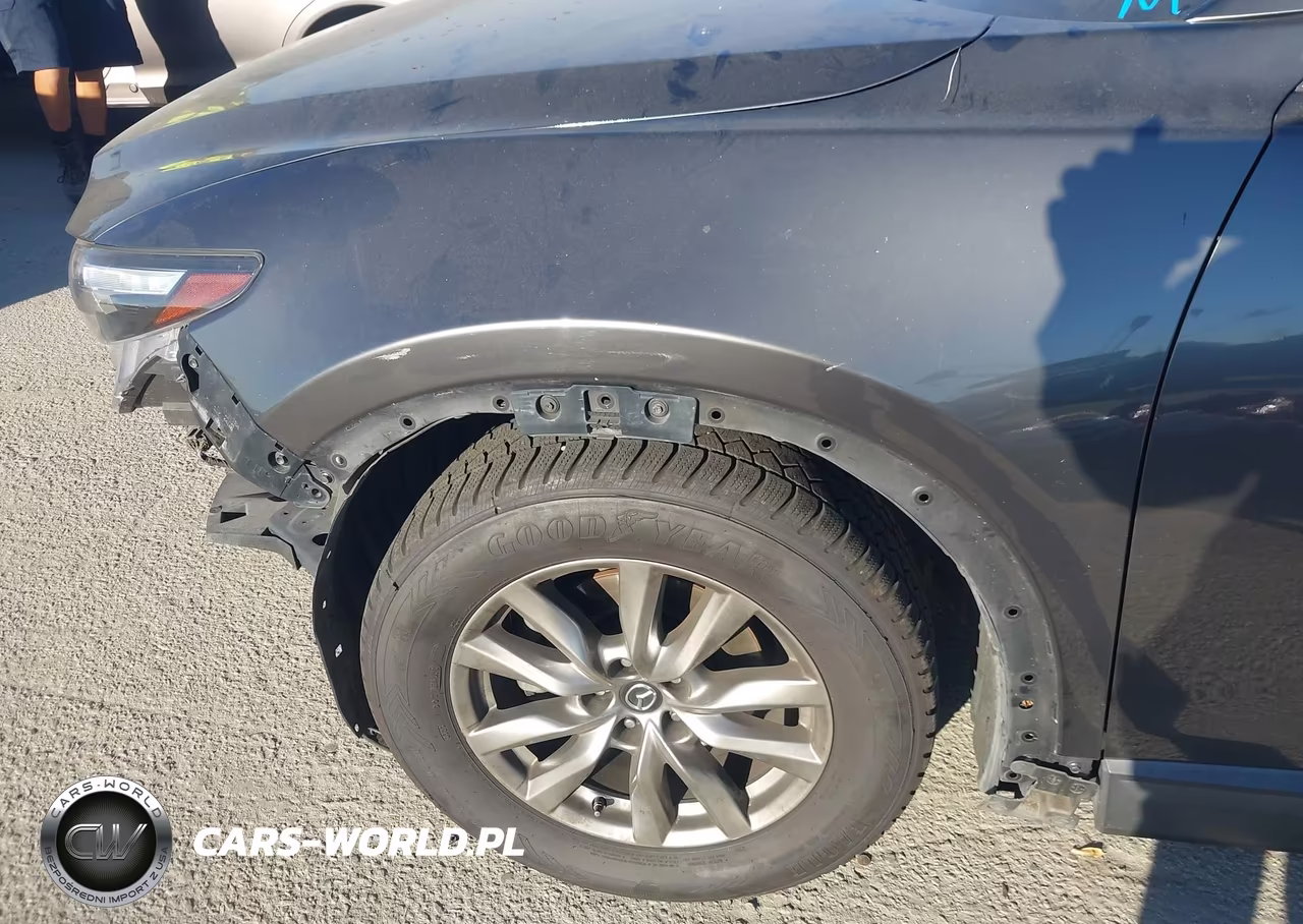 2018 Mazda Cx-9 Touring VIN:JM3TCBCY7J0202456 - 19