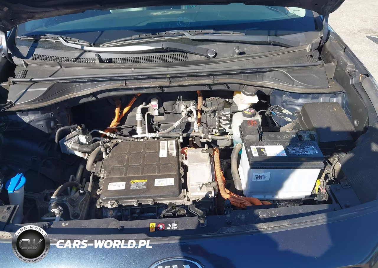 2020 Kia Niro Ev Ex Premium VIN:KNDCE3LG0L5081033 - 10
