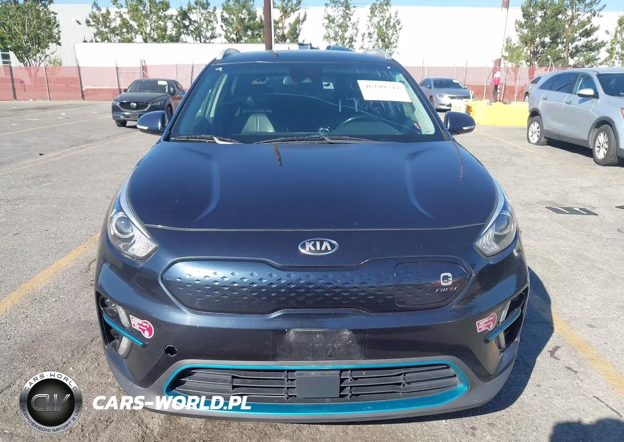 2020 Kia Niro Ev Ex Premium VIN:KNDCE3LG0L5081033 - 12